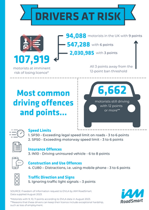 300x424 drivers at risk infographic