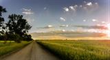 AdobeStock_162456542_11 June 20_rural road sunrise sunshine clouds