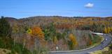 fall-foliage-colors-and-details-in-acadia-national-park-in-maine-new-england-during-their-famous-autumn-scenic-uk-thumbnail[1]FF