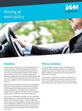 RB-Driving-at-work-insight-guide