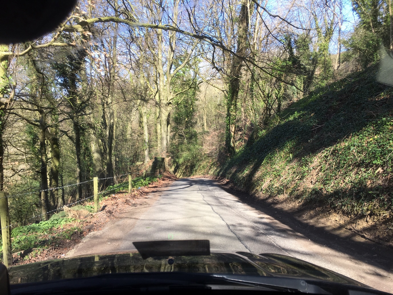 Gathering Information when driving on country roads Road descent and left-hand bend