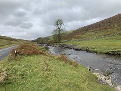 Babbling Brook Babbling Brook